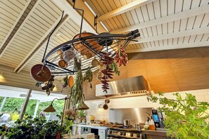 Une cuisine avec des plantes suspendues, un fourneau et un appareil numérique posé sur le plan de travail.
