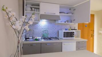 Fridge, microwave, stovetop, dishwasher