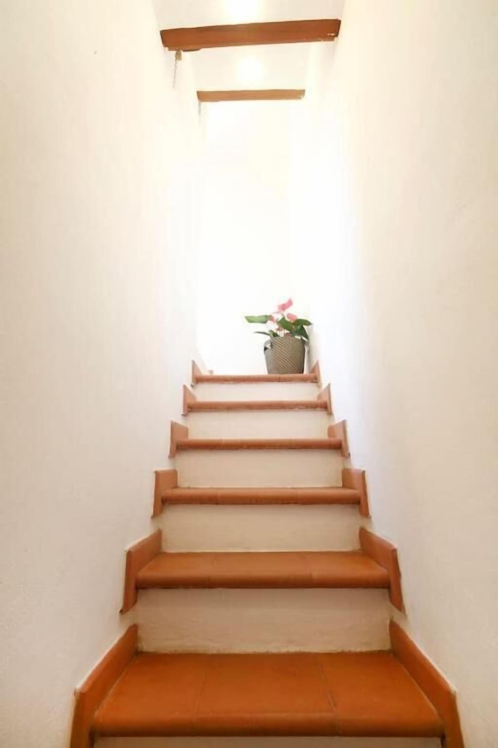 Un escalier étroit avec des marches et des rampes en bois, menant à un palier où se trouve un pot de fleurs.