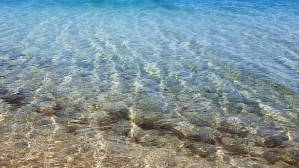 Klares, flaches Wasser mit sichtbaren Felsen unter der Oberfläche und einem fernen Horizont.