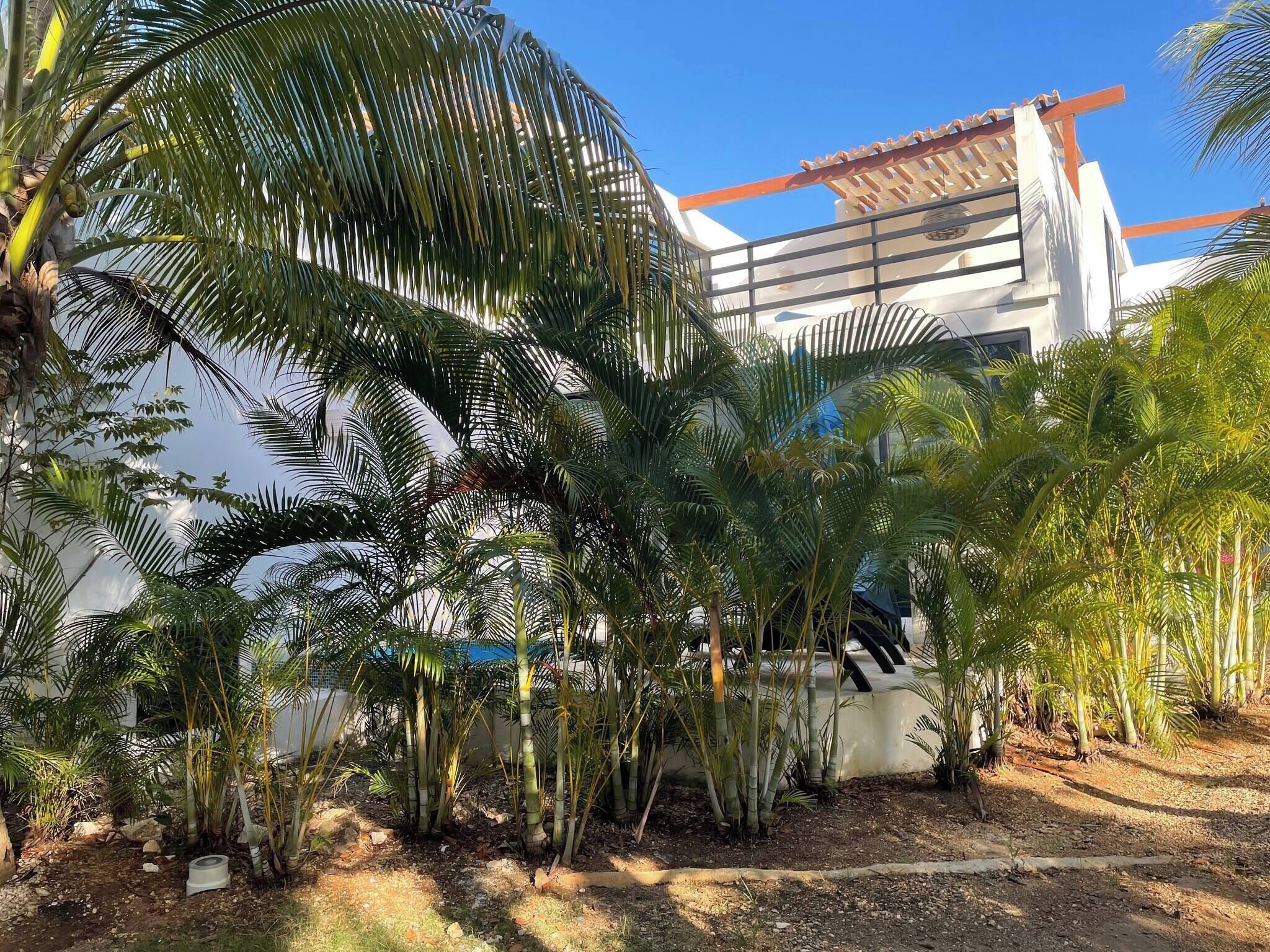 Jardín