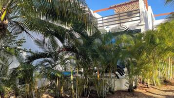 Jardín