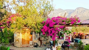 A rustic stone building with a wooden door, a bicycle, and pink bougainvillea flowers. - W Antic Pansiyon (Datca)
