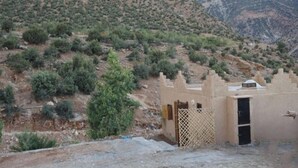 A desert landscape with sparse vegetation and a small building with a lattice door. - Tighremt Assif Melloul (Anergui)