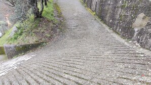 Ein steiniger Weg führt einen Hügel hinauf, flankiert von Vegetation und einer Steinmauer.