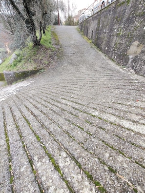 A stone pathway ascending a hill, bordered by vegetation and a stone wall. - USCIO NATURA DESCRIPTION (Uscio)
