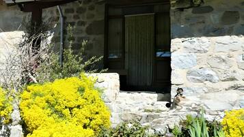 Detalle exterior
