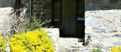Detalle exterior