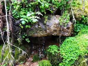 A natural rock formation with a small waterfall and surrounding greenery.