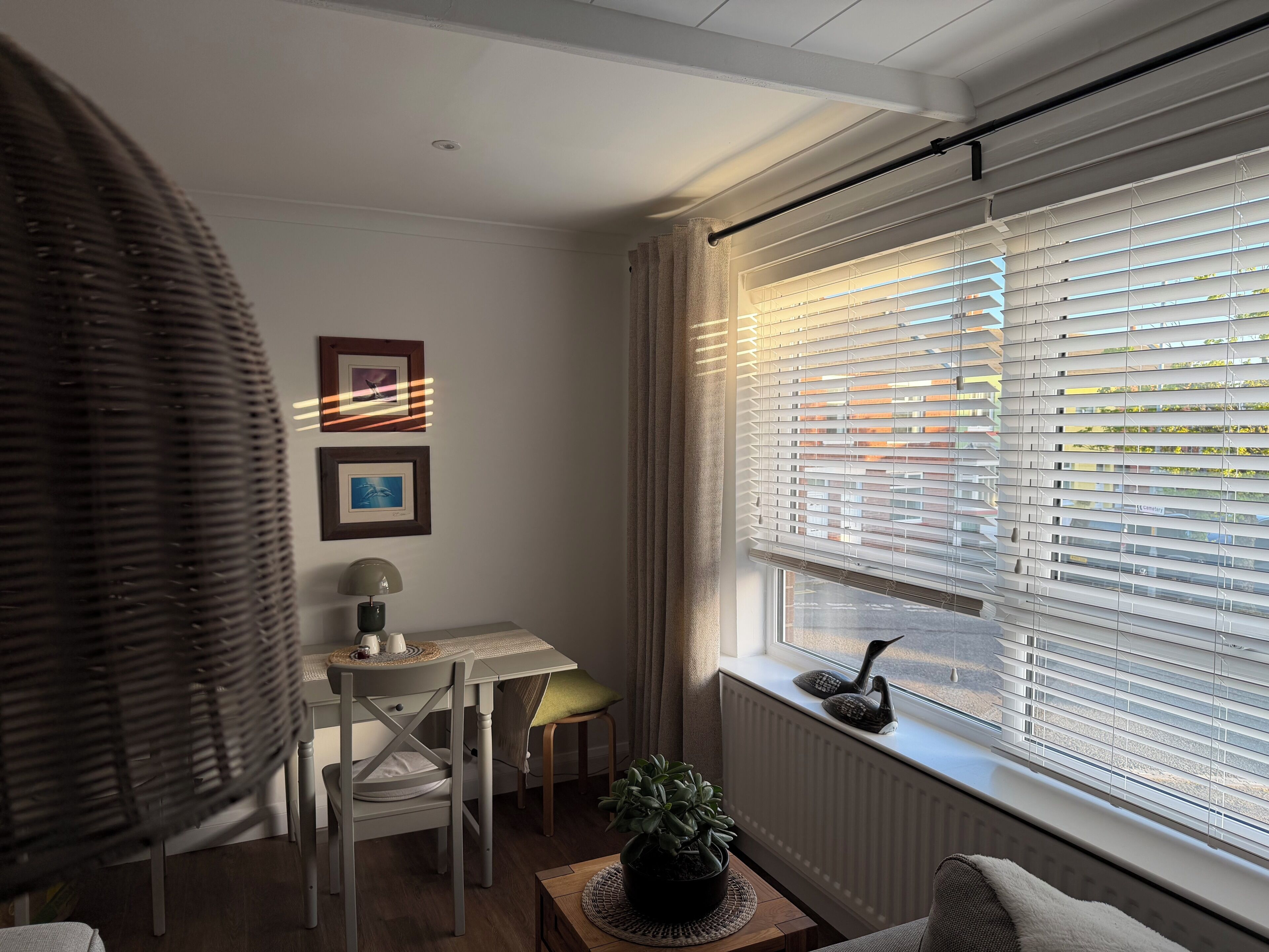 A room with a dining table, chairs, a lamp, a potted plant, and a window with blinds.