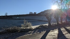 Un paisaje rural con cielo despejado, una carretera y algunos árboles.