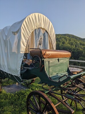 A covered wagon with a canvas top, wooden wheels, and a bench seat.