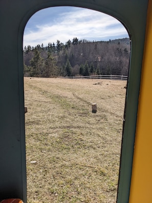 Blick durch eine Tür auf ein grasbewachsenes Feld mit weißem Zaun und Bäumen im Hintergrund.