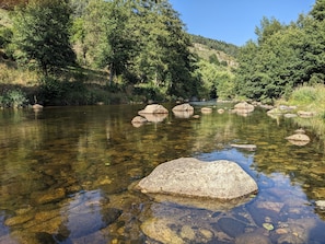Ein klarer Fluss mit Steinen und dichtem Grün.