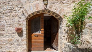 Une porte en bois en arc, donnant sur une pièce dont un mur est en pierre et où se trouve, à côté, une plante en pot.