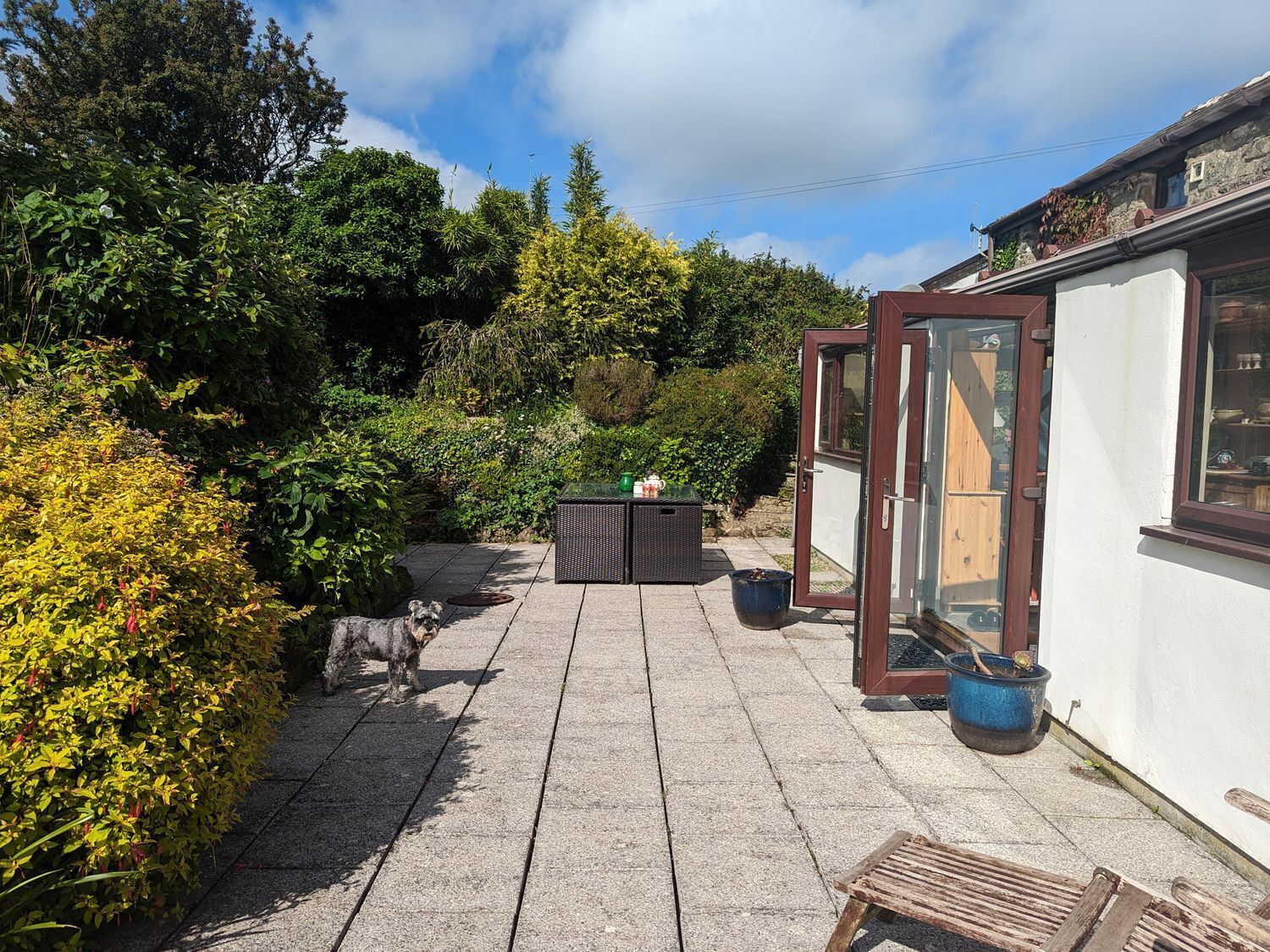 Terraza o patio