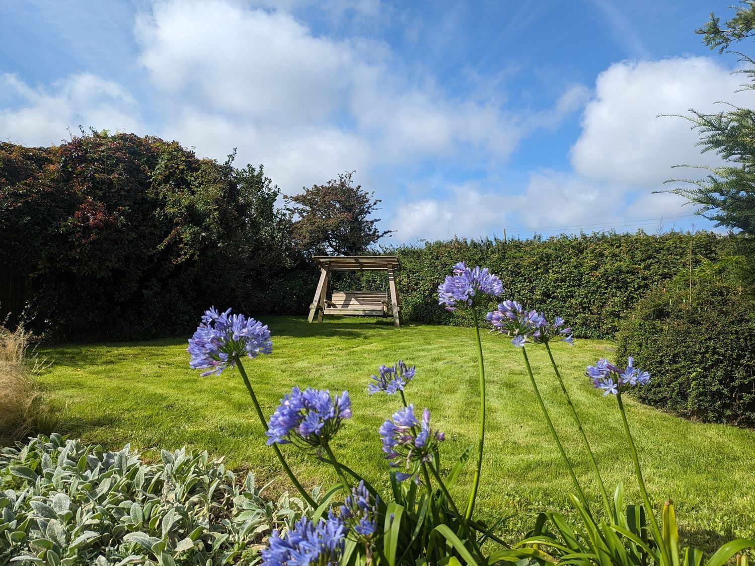 Un jardín con un pérgola de madera, césped verde exuberante y flores moradas.