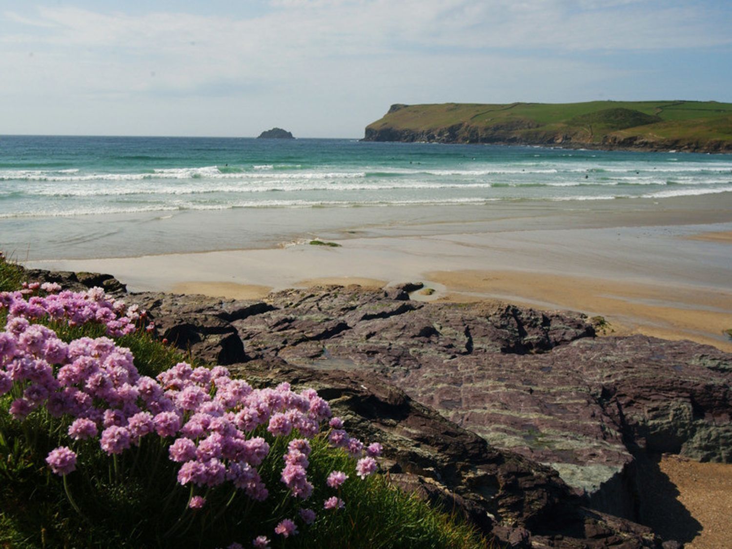 Una playa costera con terreno rocoso y flores rosadas en primer plano.