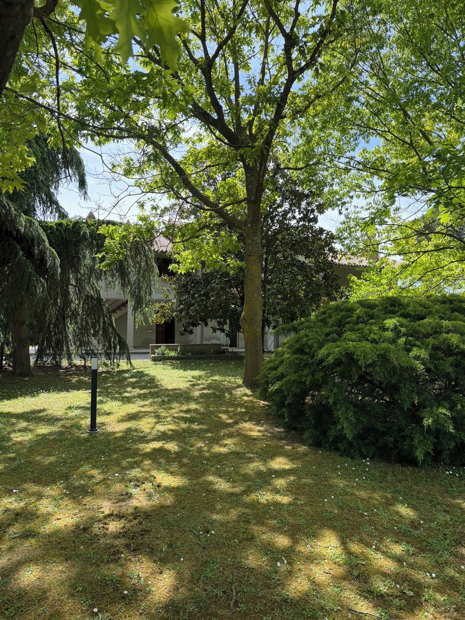 Un jardin bien entretenu, avec une variété d’arbres et d’arbustes, un chemin dégagé et un bâtiment visible au loin.