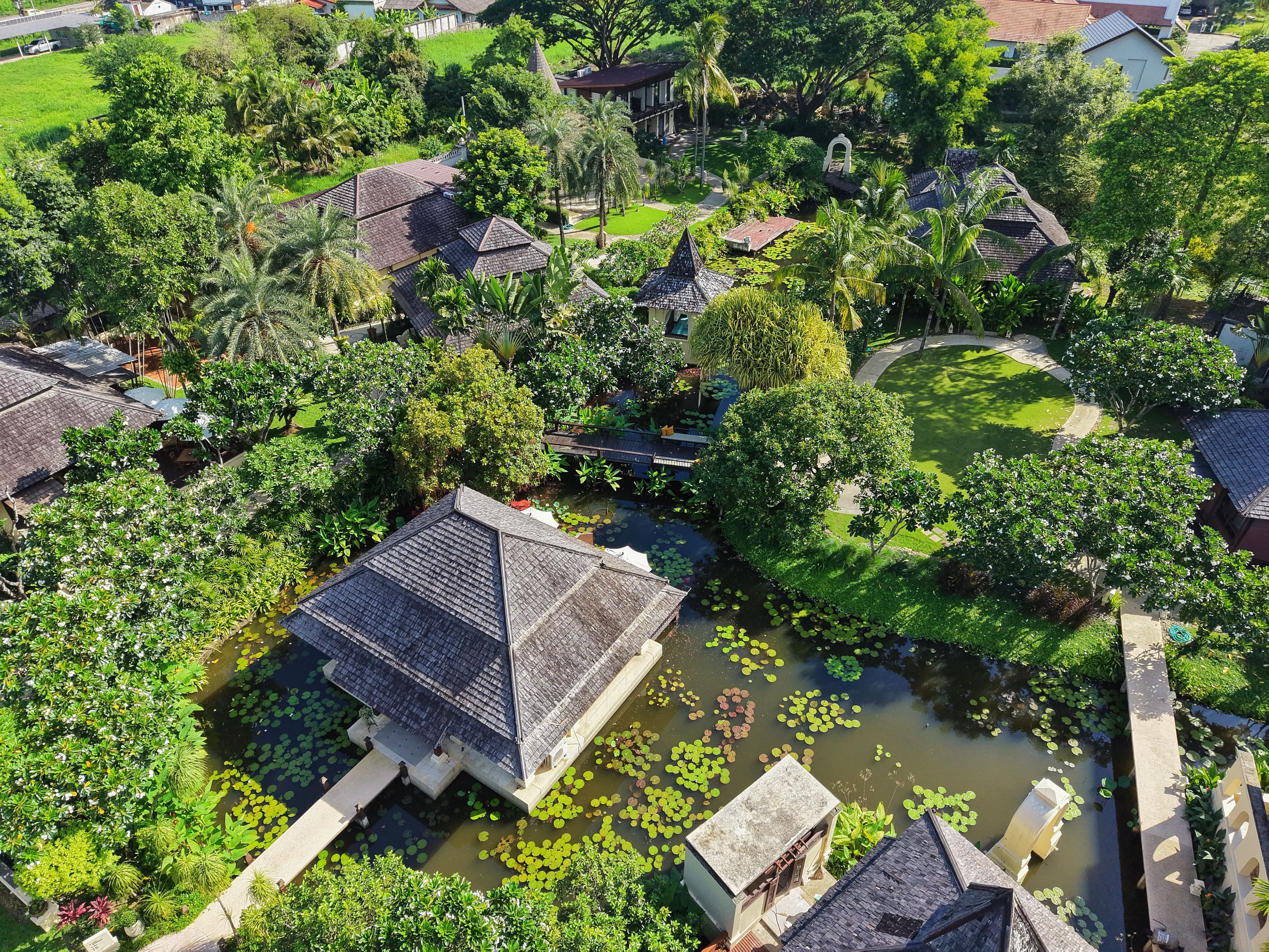 A traditional-style building surrounded by lush greenery and a pond with lily pads.