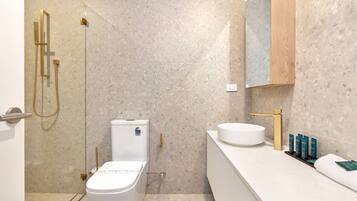 Shower, hair dryer, towels