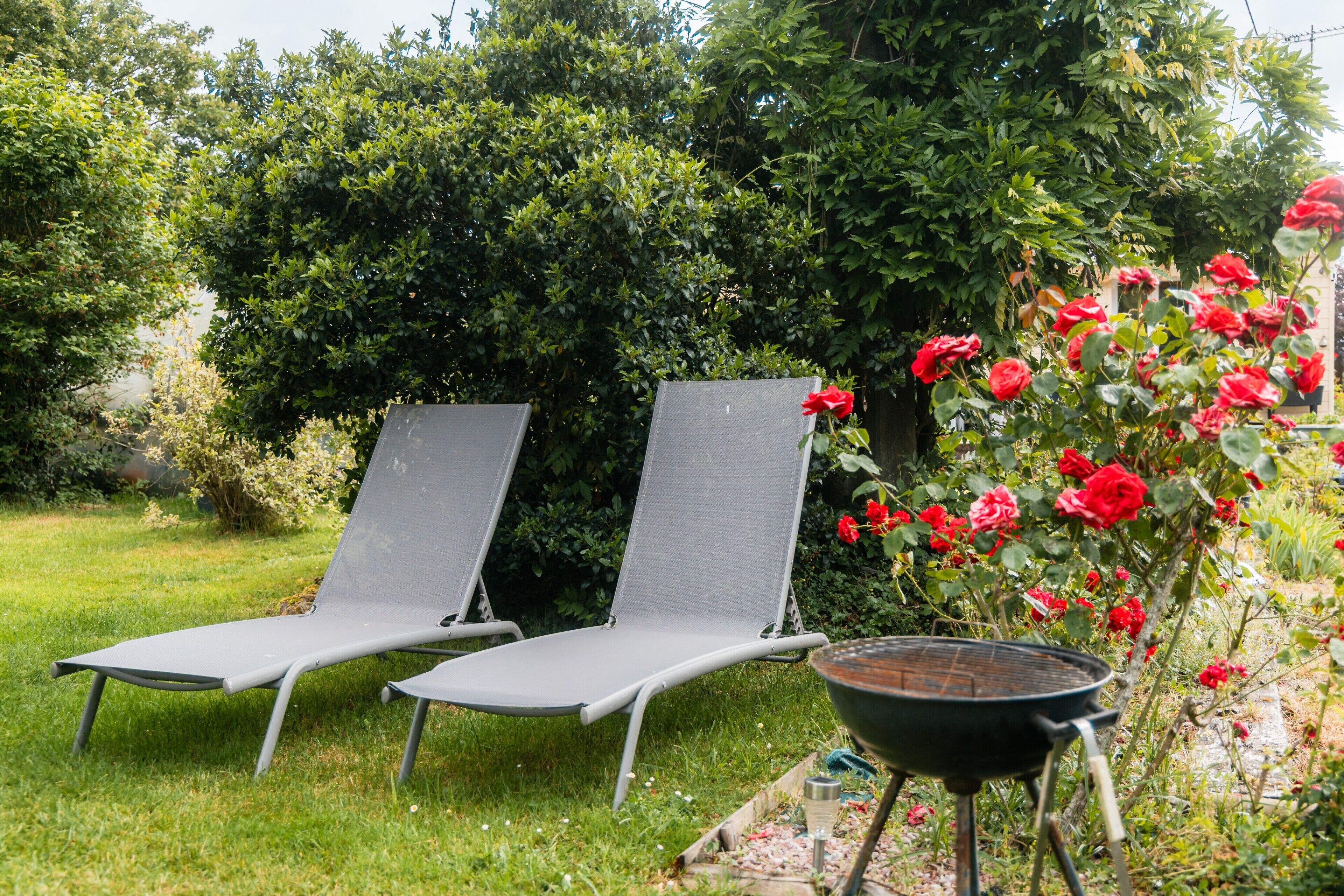Deux fauteuils de jardin dans un jardin agrémenté d’un barbecue et de magnifiques rosiers en fleurs.