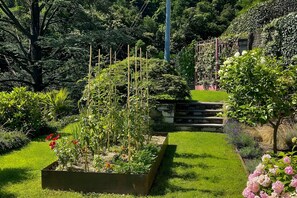 Garden - Villa Alessia - 4 bed Villa With Lake Maggiore View (Stresa)