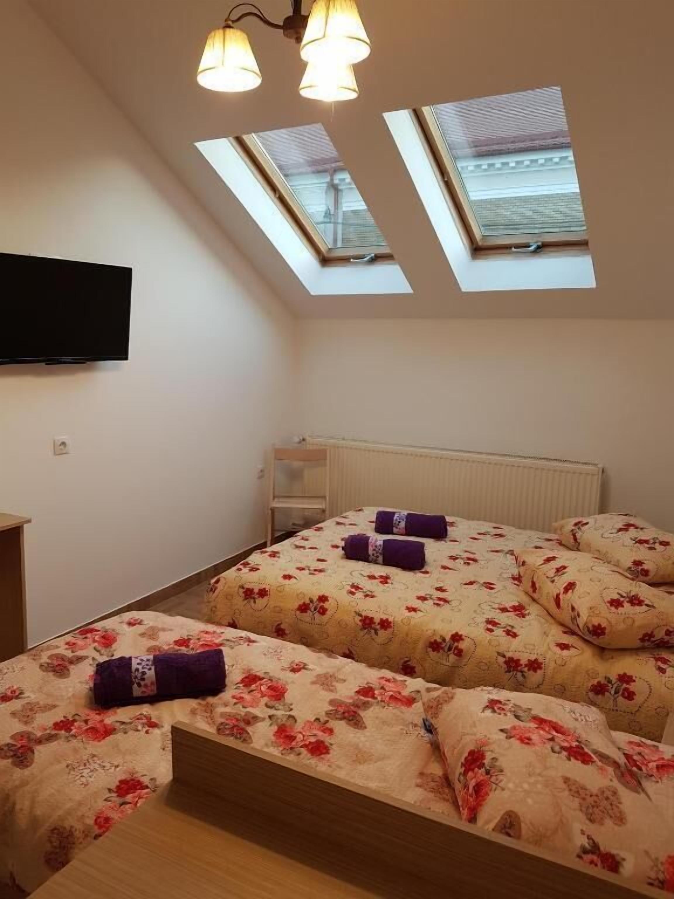 A bedroom with a bed, a TV, skylights, and a radiator.