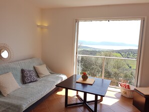 Televisión, chimenea y tenis de mesa 