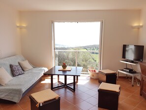 TV, lareira, mesa de pingue-pongue