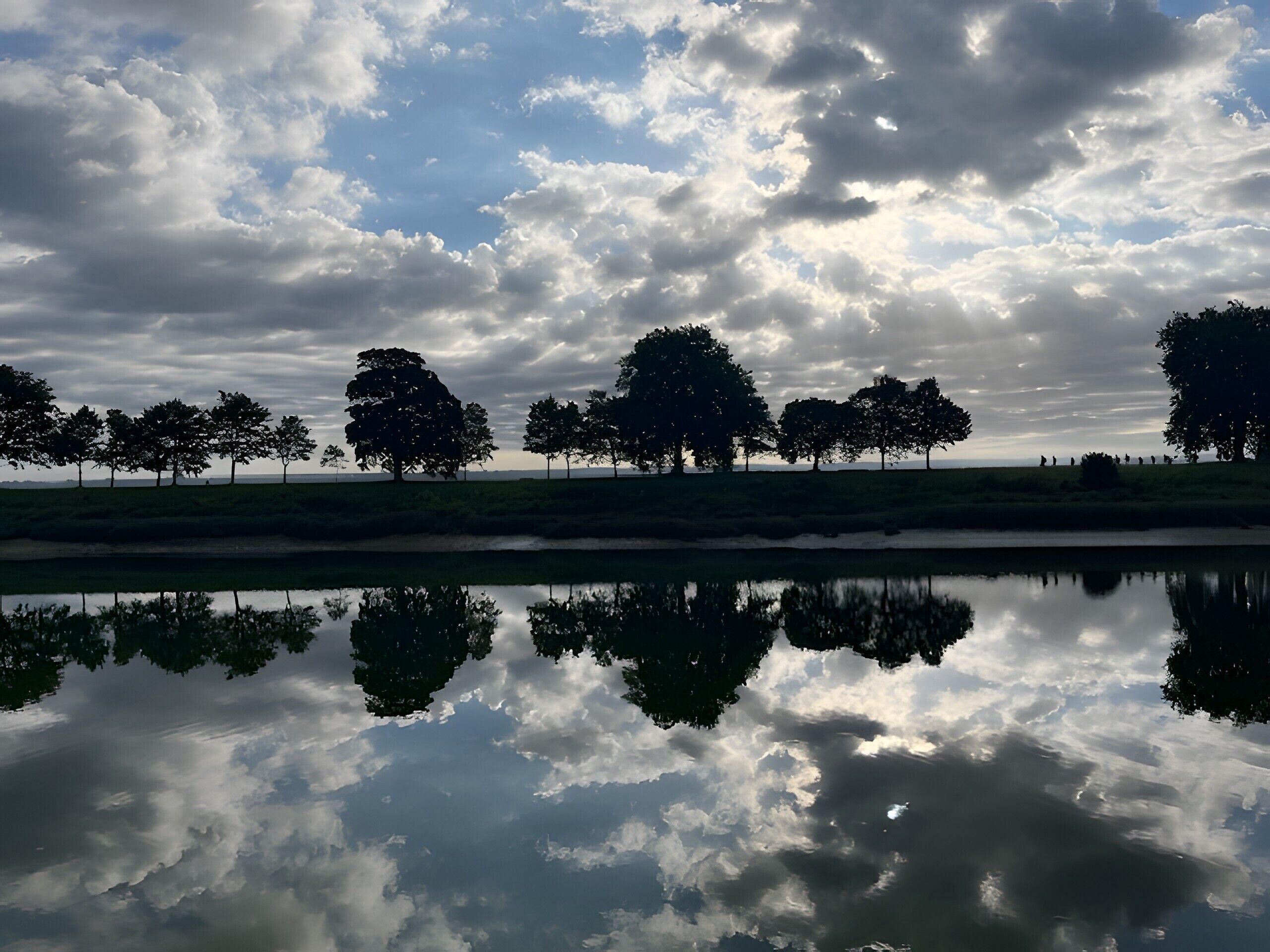 A calm body of water reflecting trees and a cloudy sky.