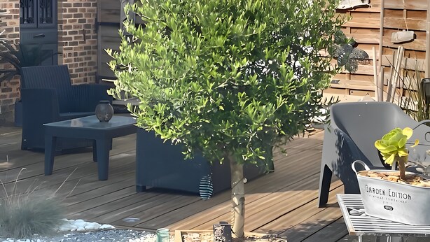 Zona patio con un piccolo albero, una sedia blu e una carriola bianca con la scritta 'GABOEN EDITION'.