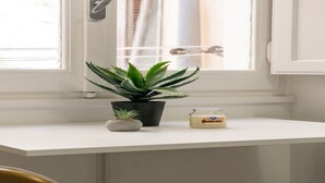 A white window sill with a potted aloe vera plant, a small stone, and a jar of honey. - Adorable 1-bedroom apartment with AC in charming Roma (Roma)