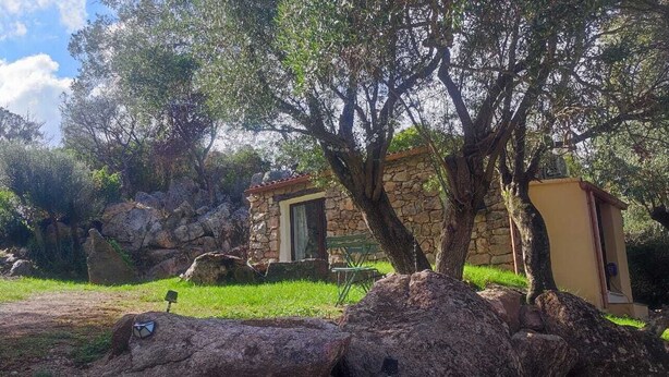 Un edificio de piedra con una puerta, un banco y un árbol en un entorno natural.