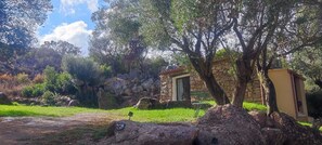 Edifici de pedra amb una porta, una banca i un arbre en un entorn natural.