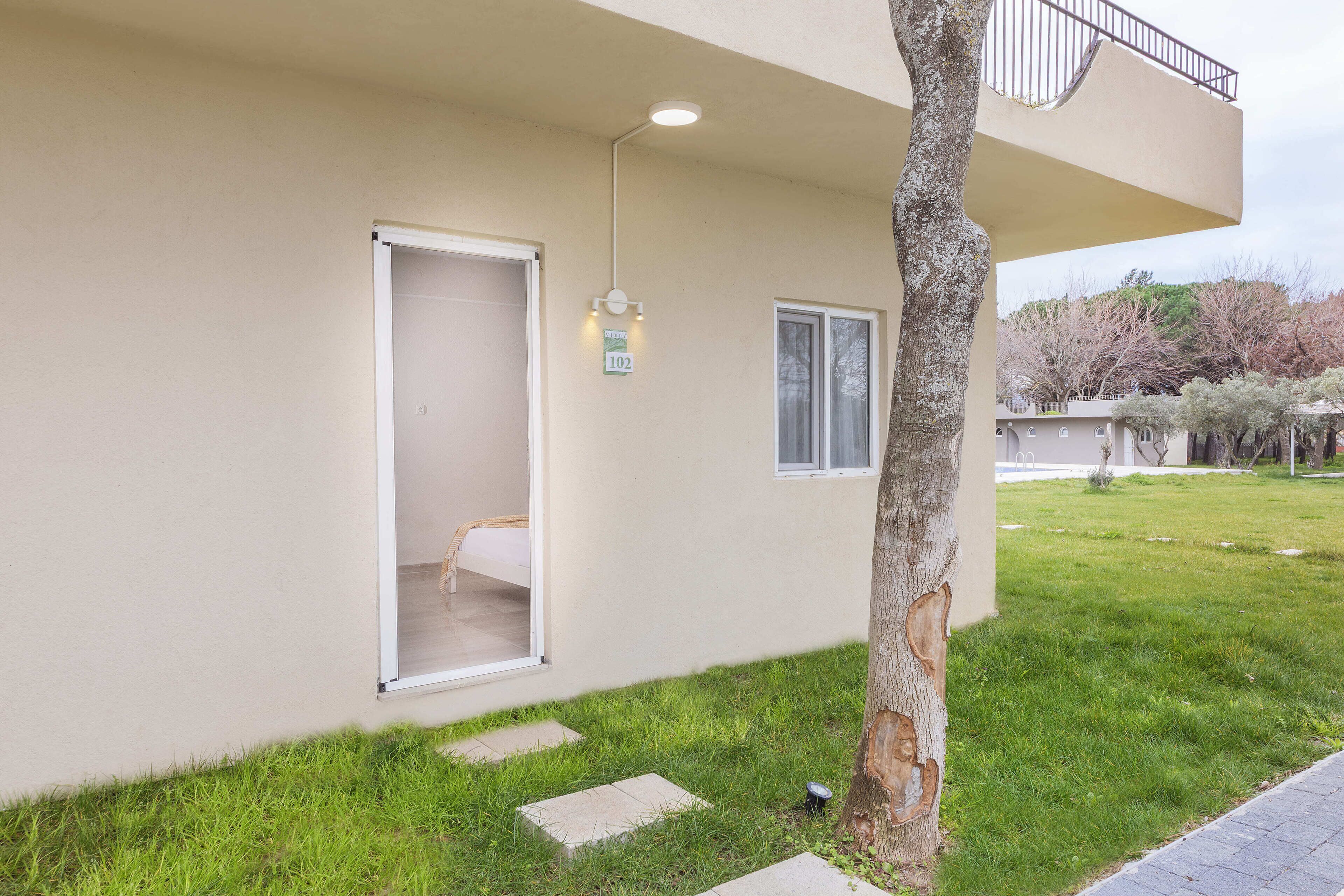 A modern building with a door, a window, and a tree in the foreground.