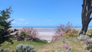 Una playa con cielo despejado, orilla arenosa y diversas arbustos y árboles.