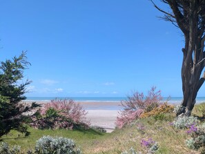Ein Strand mit klarem Himmel, sandigem Ufer und verschiedenen Sträuchern und Bäumen.
