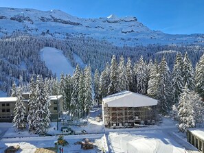 Aerial view - 4-5 Room Apartment with Slope View - 6 Guests (Flaine)
