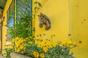 Eine gelbe Wand mit einer Pferdekopfdarstellung und gelben Blumen im Vordergrund.