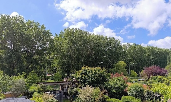 A garden with various trees and plants, a small bridge, and a pathway.