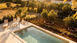 A rectangular swimming pool with clear water, surrounded by a tiled deck, and overlooking a landscaped garden with trees and shrubs. - Villa Orkula Rab with Heated Pool, Gym & Sea View (Rab)