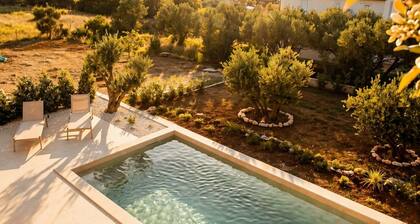 Villa Orkula Rab with Heated Pool, Gym & Sea View