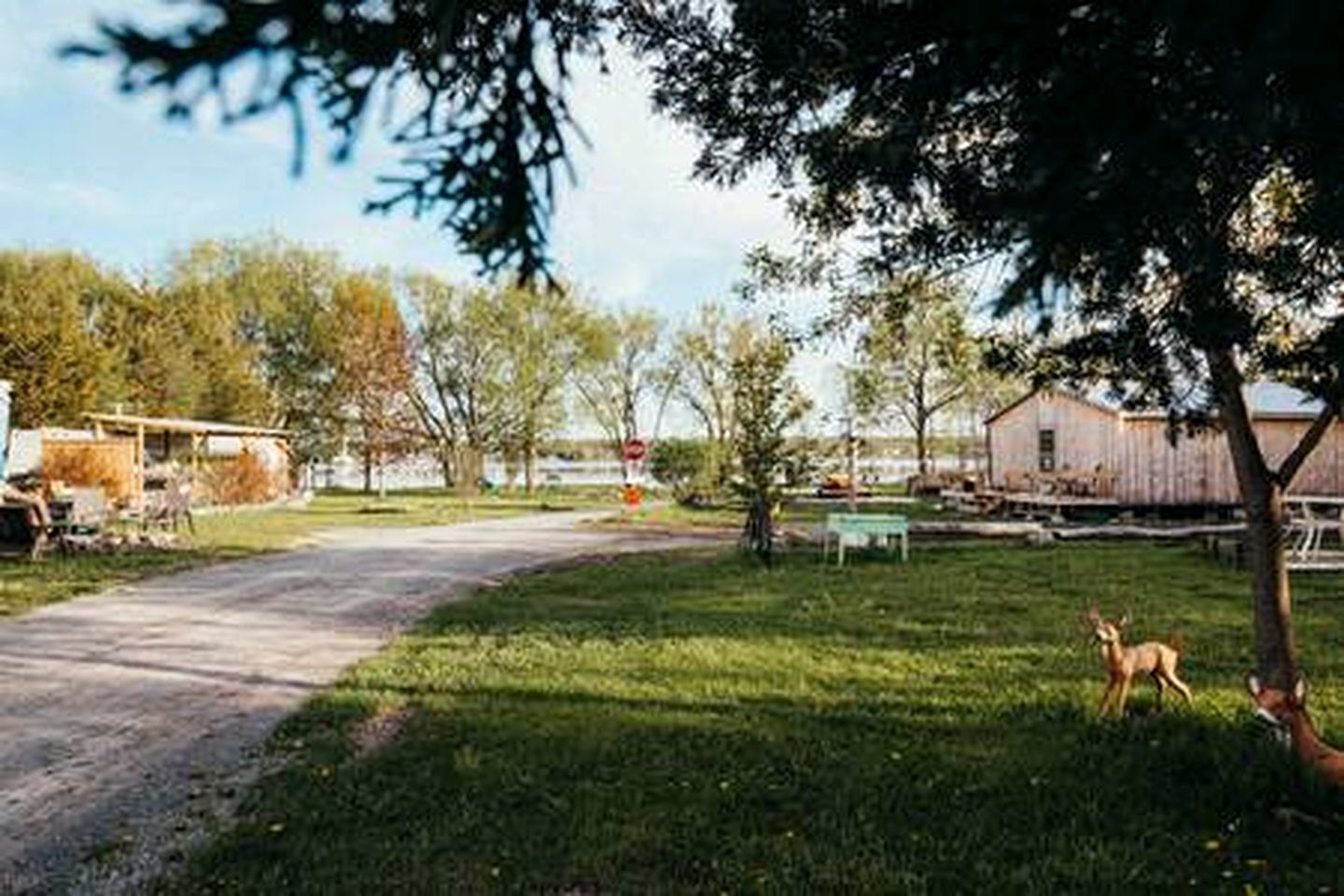 Property grounds