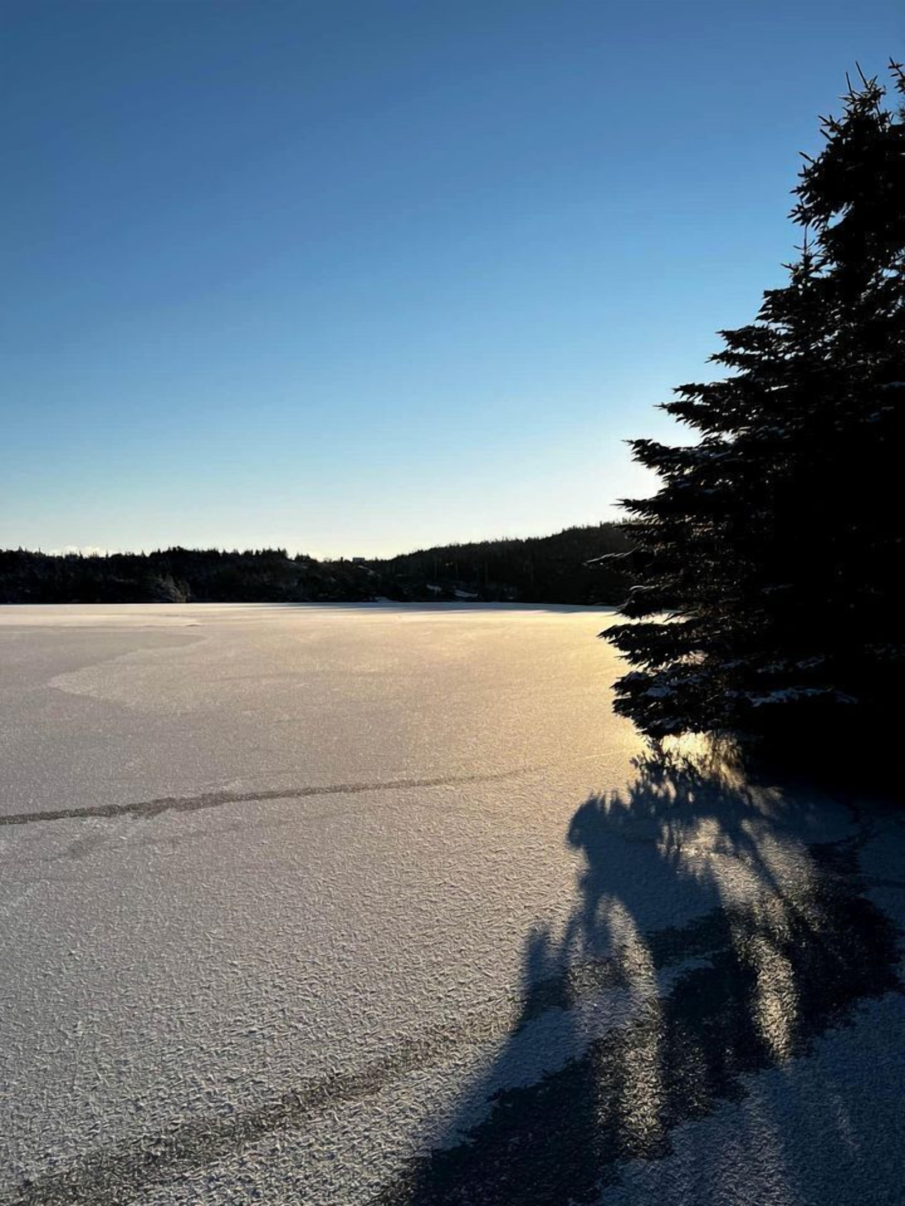 A frozen lake with trees in the background.