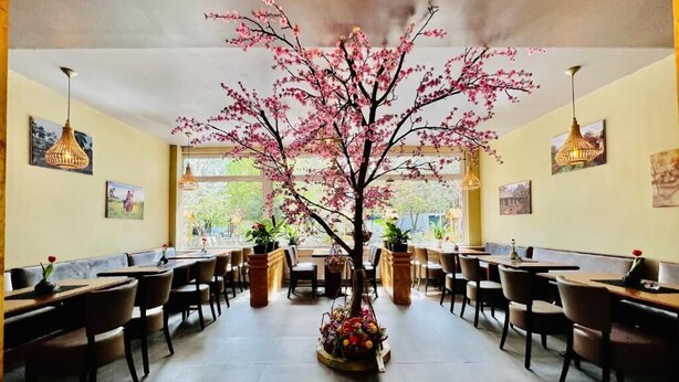 Un restaurante con un árbol artificial de cerezos en el centro, mesas, sillas y lámparas colgantes.