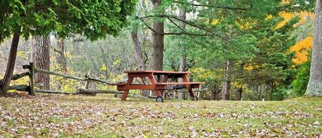 Una mesa de picnic en un área boscosa con hojas secas en el suelo.