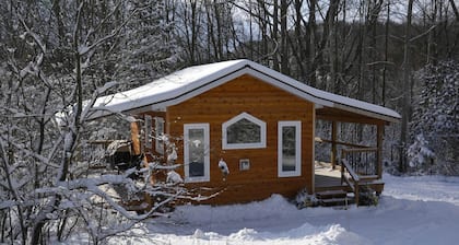 Serene Tiny Cabin Perfect for Relaxing Couples Getaway in Central Huron, Ontario