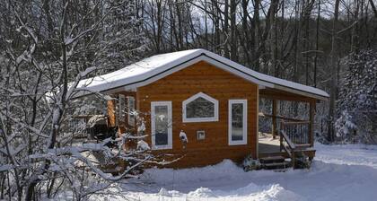 Serene Tiny Cabin Perfect for Relaxing Couples Getaway in Central Huron, Ontario