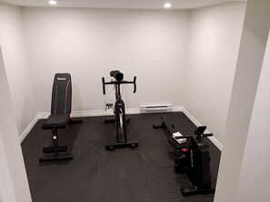 Fitness facility - Stunning Cottage with Fire Pit and Private Cinema in Kawartha Lakes, Ontario (Kawartha Lakes)